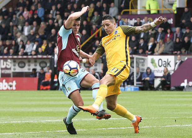 不仅凸显球 不仅凸显球