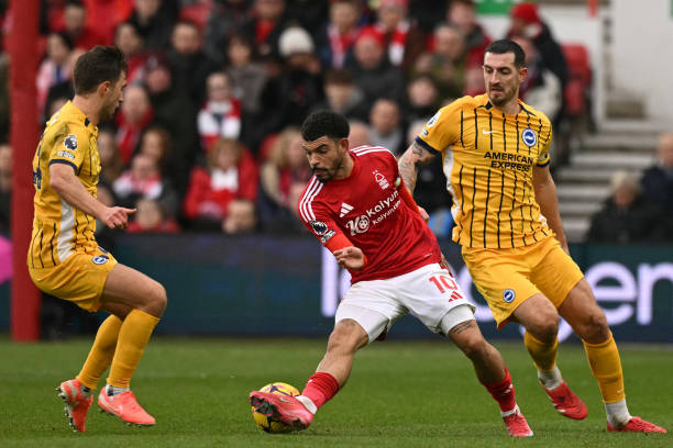 综合来看 综合来看